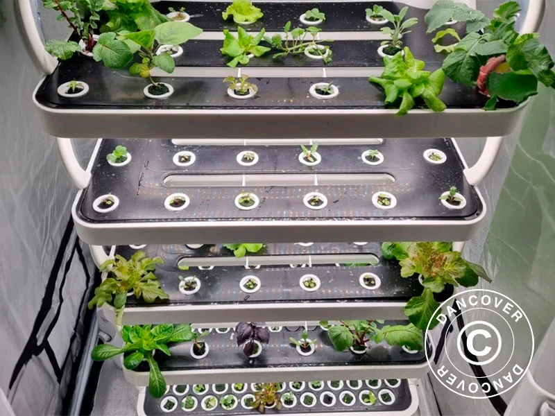 Hydrokultur-Pflanzschrank mit LED, 0,77x0,4x1,7m, Weiß - Image 9