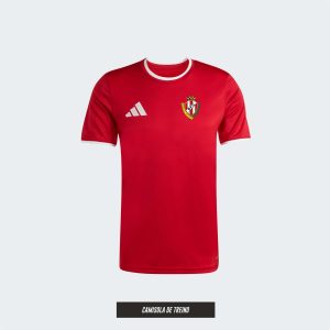 Camisola de Treino PALMELENSE FC